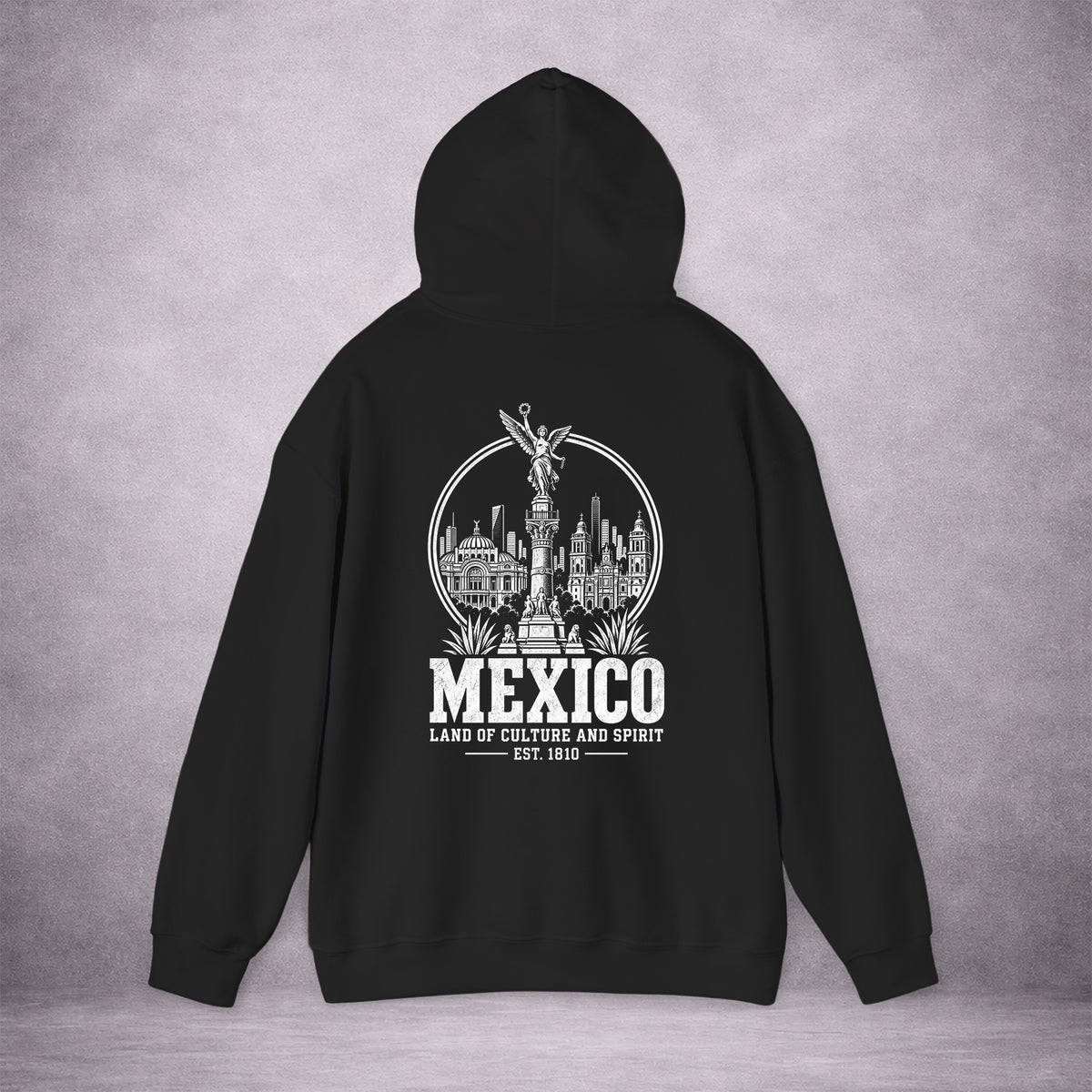 MEXICO-CITY-KEEPSAKE-BD5852-CLASSIC-FLEECE-HOODIE-BLACK-BACK-02