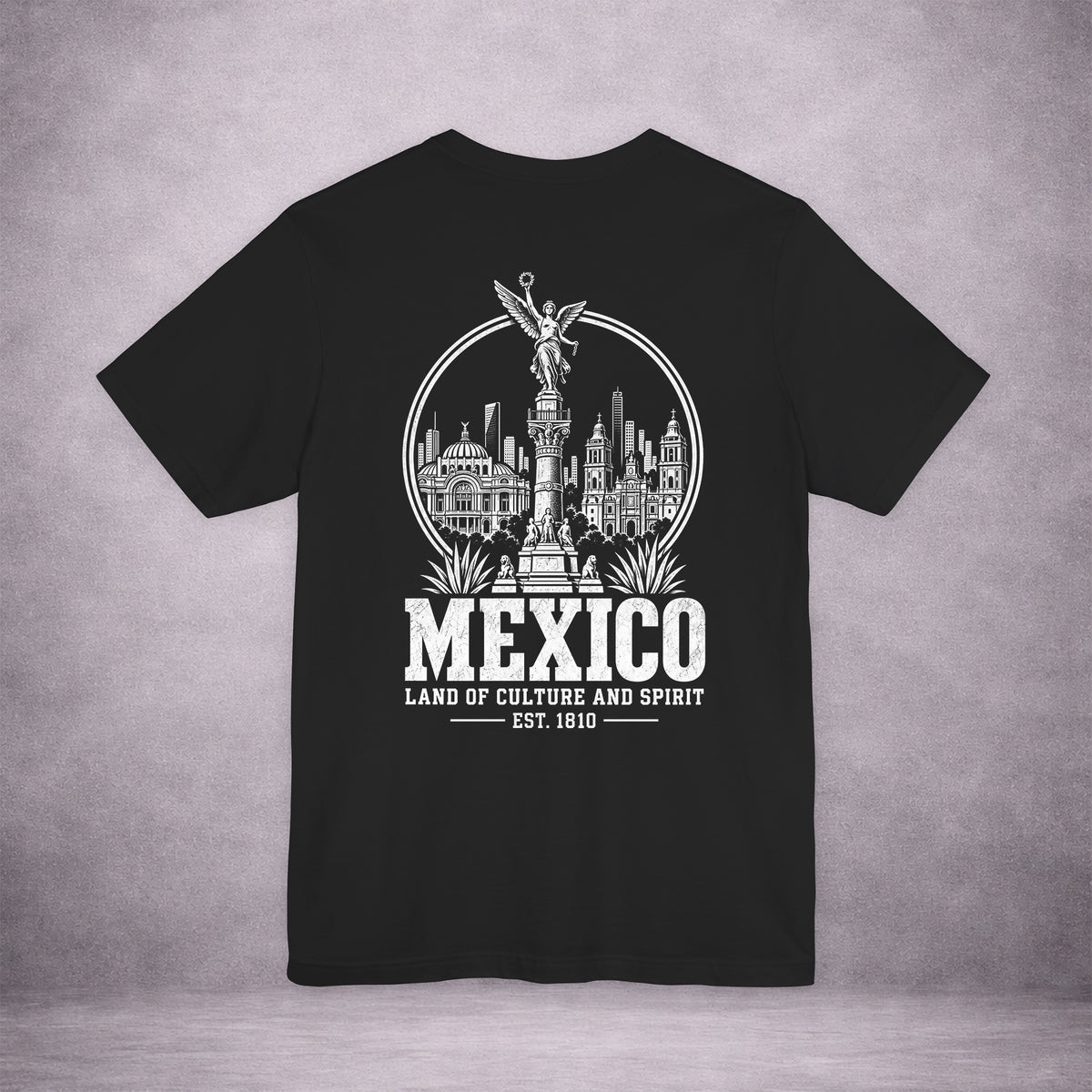 MEXICO-CITY-KEEPSAKE-BD5852-PREMIUM-JERSEY-TEE-BLACK-BACK-01