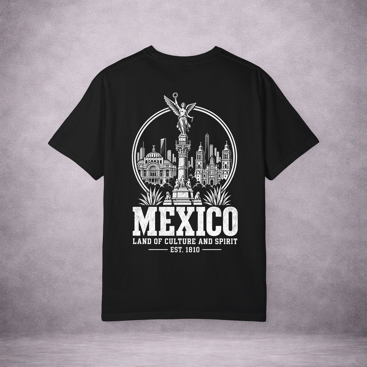MEXICO-CITY-KEEPSAKE-BD5852-VINTAGE-WASH-TEE-BLACK-BACK-01