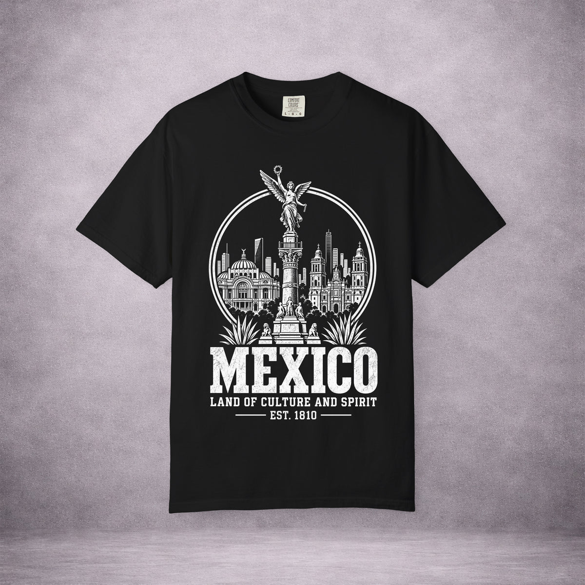 MEXICO-CITY-KEEPSAKE-BD5852-VINTAGE-WASH-TEE-BLACK-FRONT-01