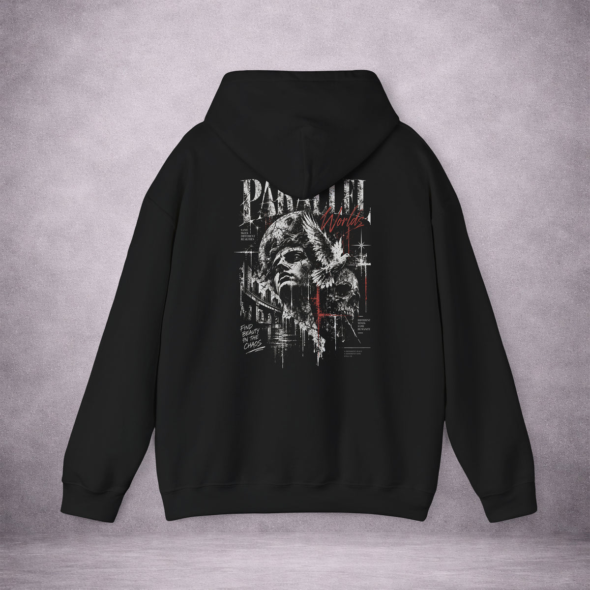 PARALLEL-WORLDS-SAME-SKIES-11443C-CLASSIC-FLEECE-HOODIE-BLACK-BACK-01