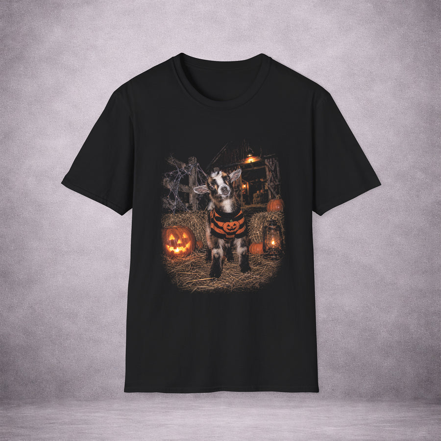 Pumpkin Patch Goat | Little Hooves, Late Night