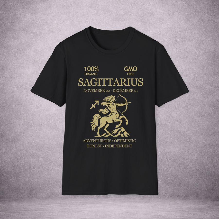 SAGITTARIUS | THE ARCHER